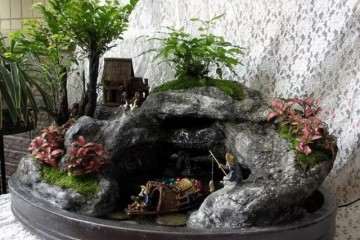 怎么种植紫檀盆景的经验分享