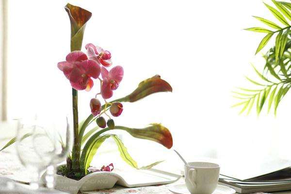 水易居流水盆景到日常家居生活