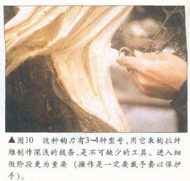 图解 侧柏舍利干盆景怎么造型设计的过程