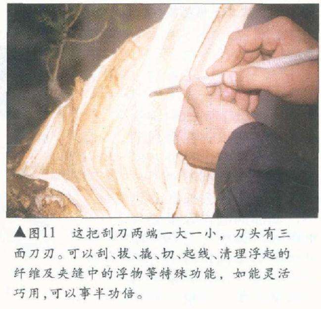 图解 侧柏舍利干盆景怎么造型设计的过程