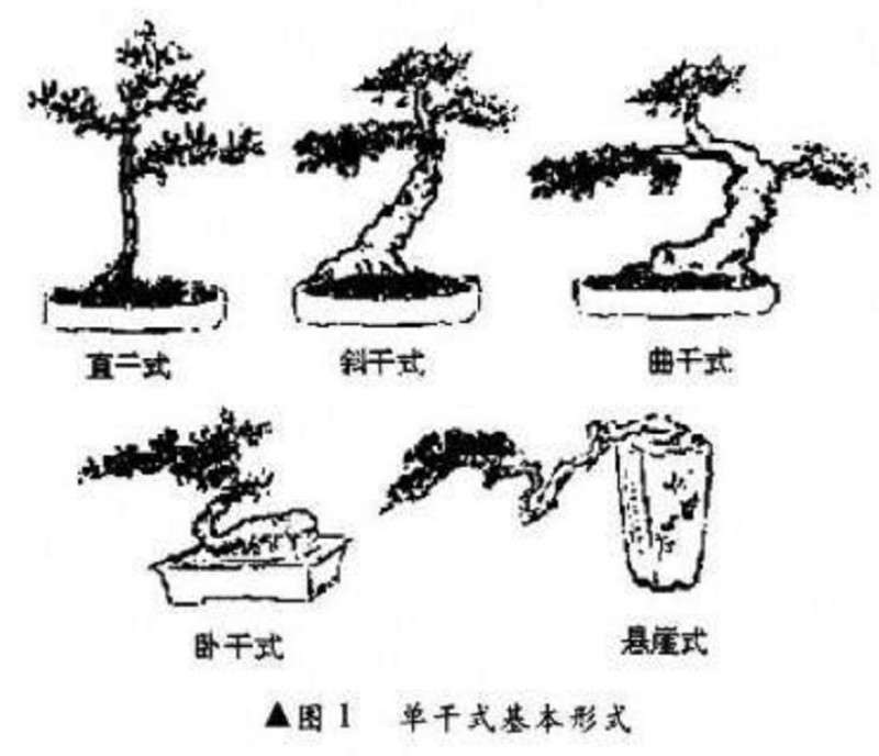 图解 微型盆景制作的基本设计技艺