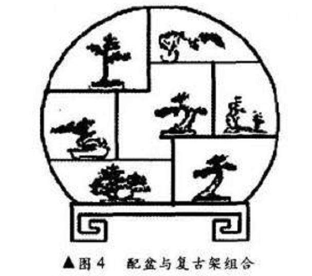 图解 微型盆景制作的基本设计技艺