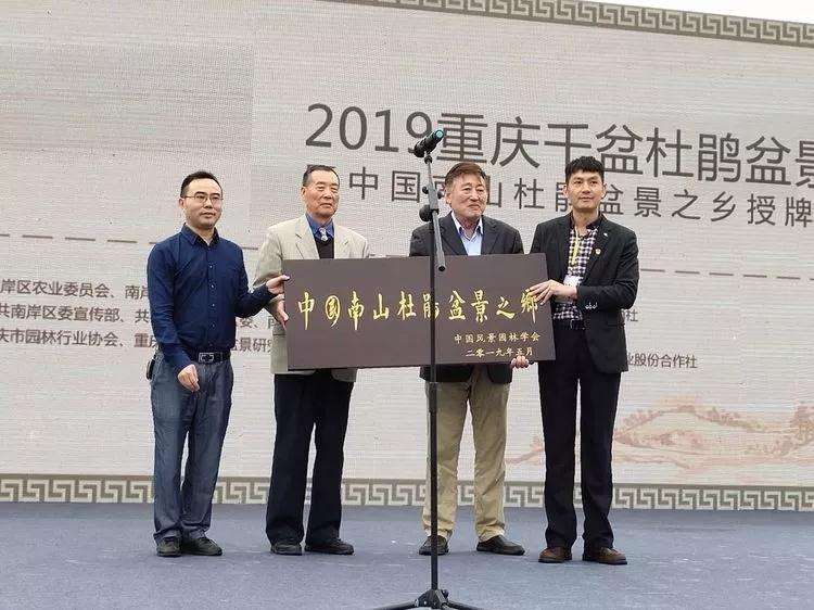 重庆杜鹃盆景之乡授牌仪式开幕 图片