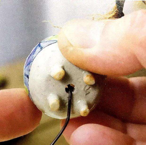 图解 盆景怎样露根露枝的方法