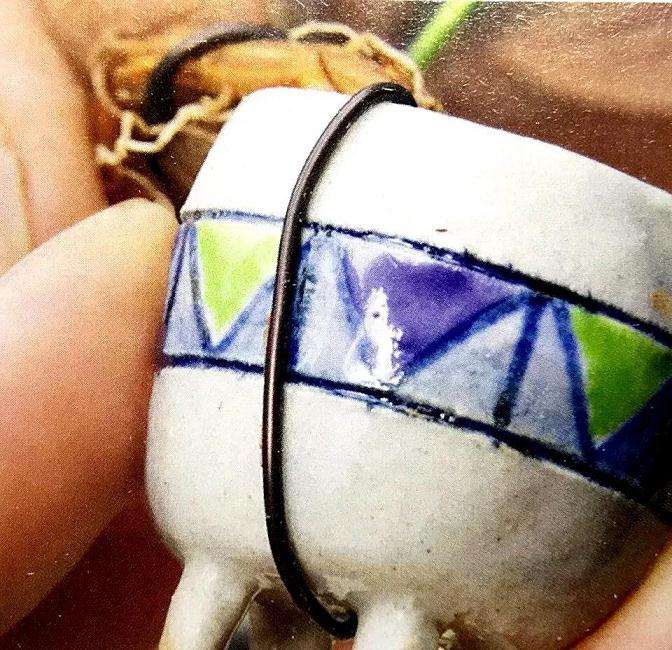 图解 盆景怎样露根露枝的方法