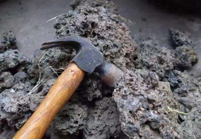 煤渣可以养护树桩盆景吗