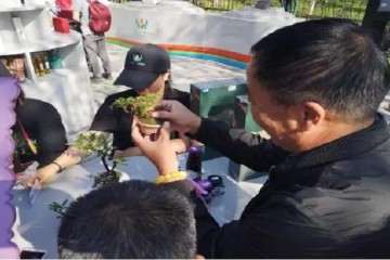 2019 微型盆景在北京世园展出 图片