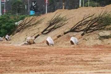 恩施州城盆景公园已开建 预计九月完