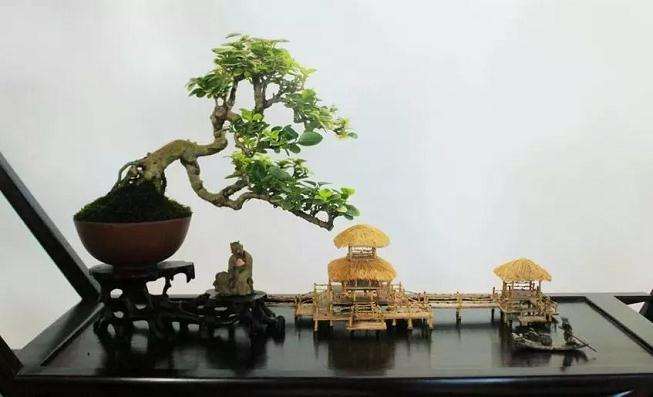 盆景的原形都最早出现在东的河北省境内