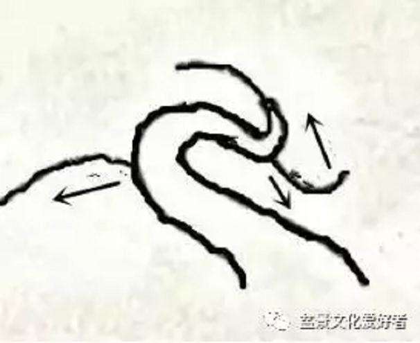 图解 回旋式盆景怎样造型的技巧