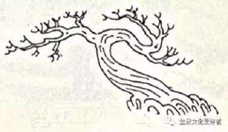 回旋式盆景怎样造型的技巧