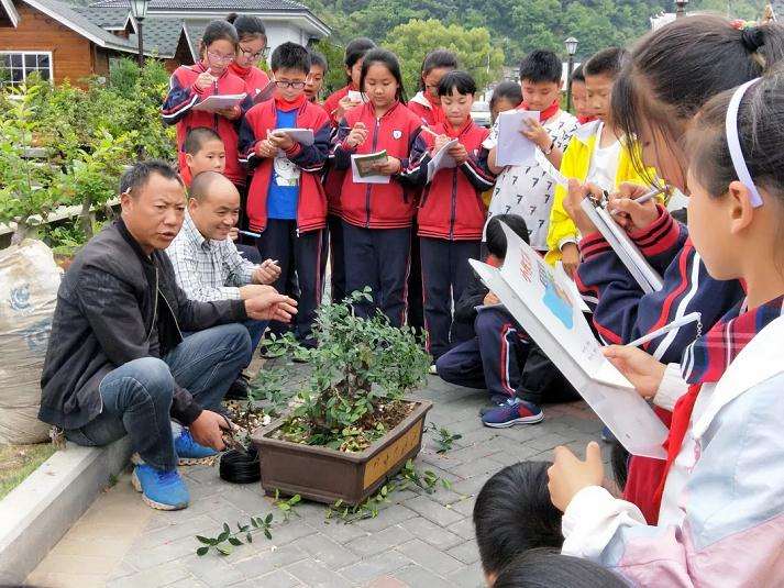 观盆景写盆景 我们的笔下乐趣多