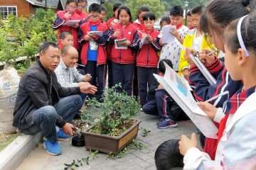 观盆景写盆景 我们的笔下乐趣多