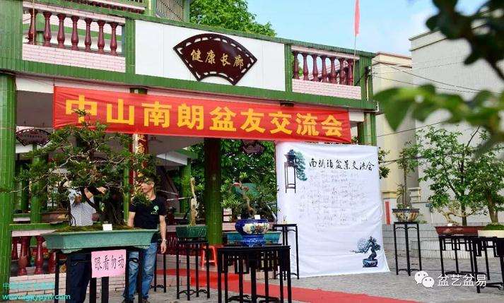 中山市南朗镇盆景交流会