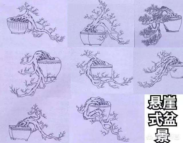 怎样制作悬崖形式盆景的方法