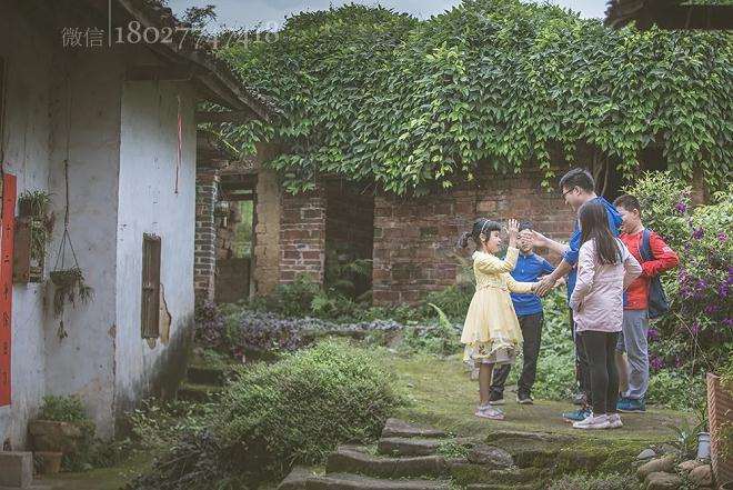 怎样制作青苔盆景的过程