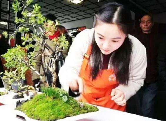 扬派女盆景师摘金夺银展技艺