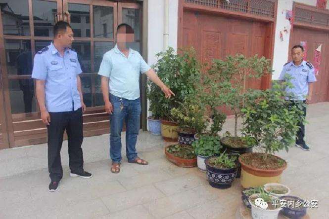 内乡县破获一起盗窃上水石盆景案件