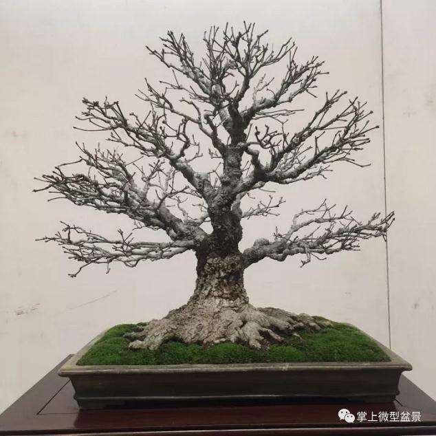 关于中国盆景艺术家协会地址电话变更的通知