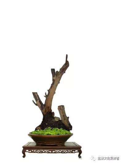盆景重心与三角构图有什么原则