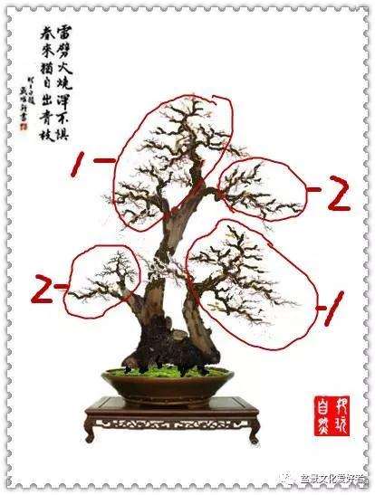 盆景重心与三角构图有什么原则