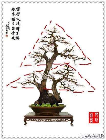 盆景重心与三角构图有什么原则