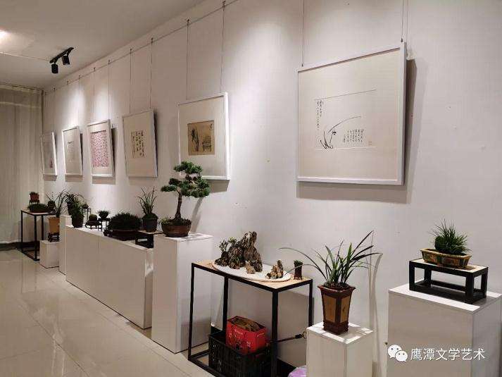 鹰潭市首届盆景花卉艺术展筹备工作
