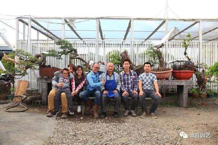 图解 五叶松盆景设计造型的过程