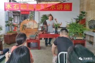 翁源县木石园艺术基地盆景美学讲座
