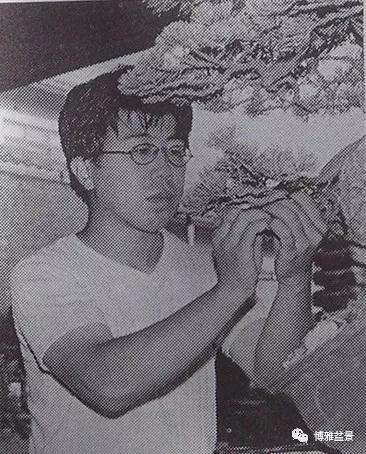 图解 一棵五针松盆景怎么制作的21个过程