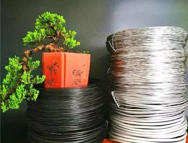 盆景扎丝怎么选择