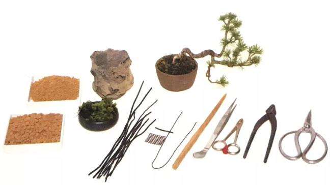 图解 怎样用金属丝制作悬崖型盆景的方法