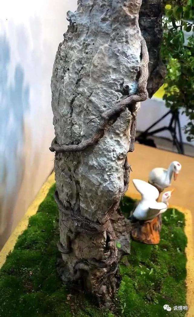 难得一见的附石铁包金盆景