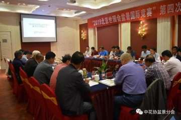 2019 北京世园会盆景国际竞赛 图片