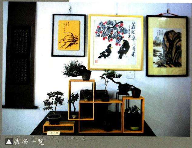 无锡举办祖孙四代书画盆景展