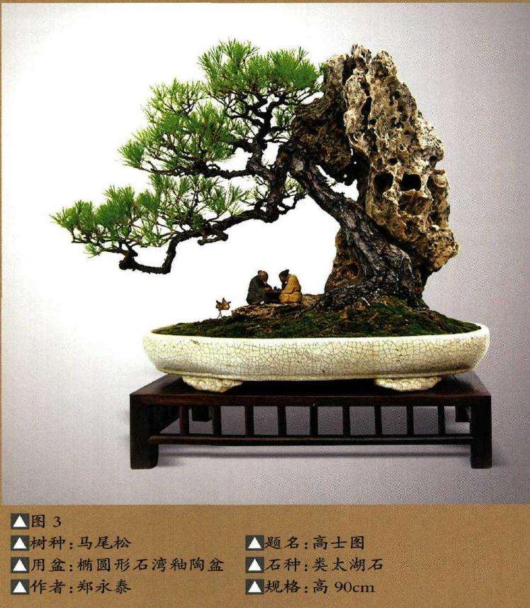 树石盆景的比例协调怎样制作