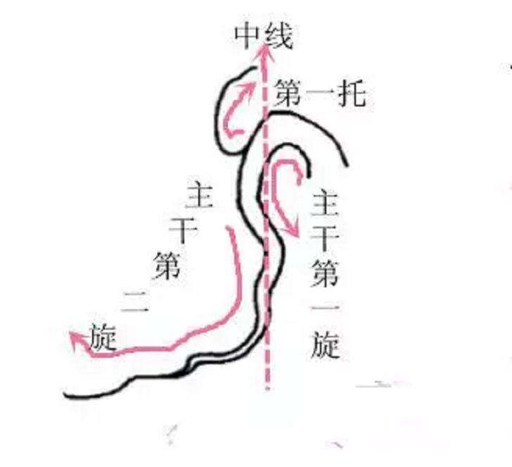 图解 怎样制作悬崖式盆景的方法