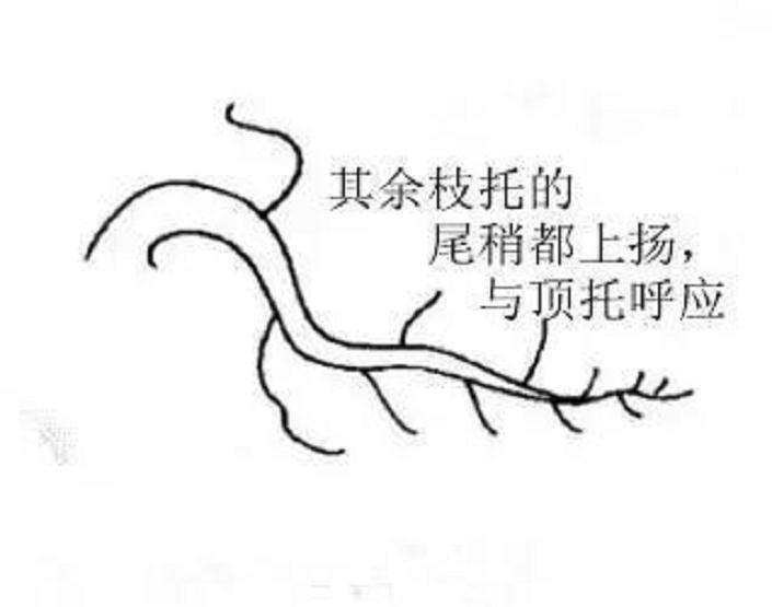 图解 怎样制作悬崖式盆景的方法