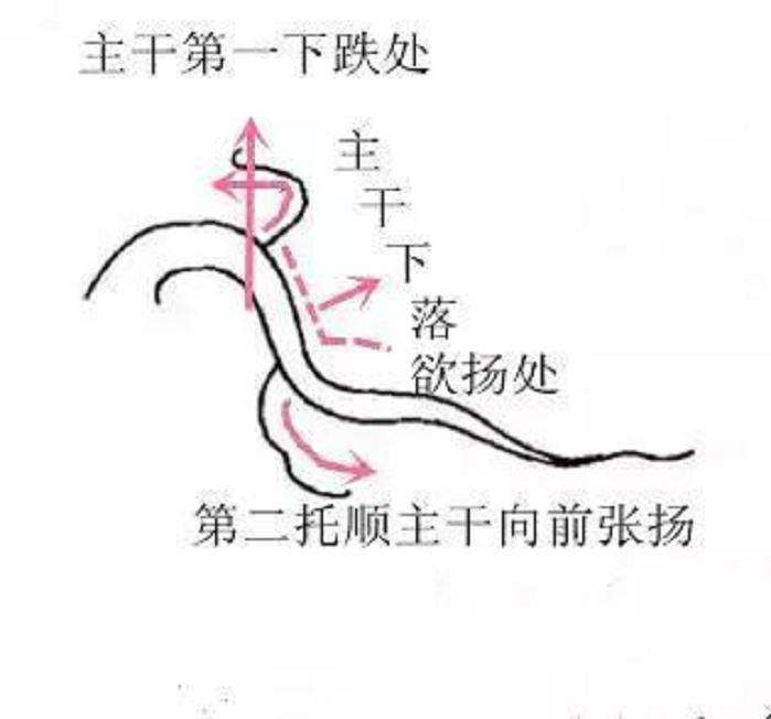 图解 怎样制作悬崖式盆景的方法