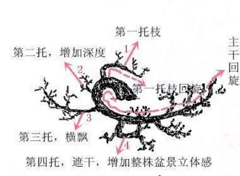 图解 怎样制作悬崖式盆景的方法