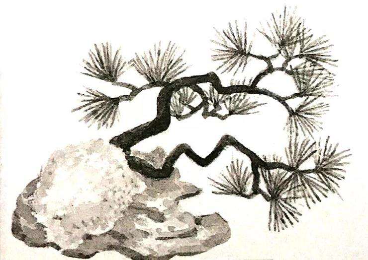 十款最好的盆景造型有哪些 图片