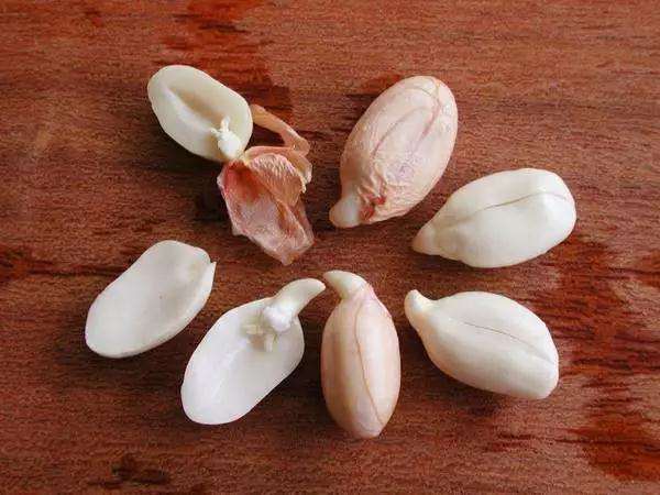 怎样制作花生盆景的方法