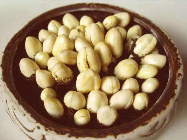 怎样制作花生盆景的方法