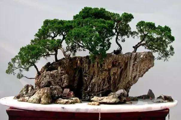 怎样做好盆景的立意的构思的方法