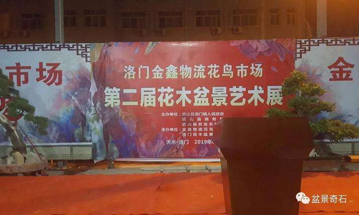 武山县洛门镇第二届花木盆景艺术展开展