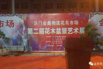 武山县洛门镇第二届花木盆景艺术展开展