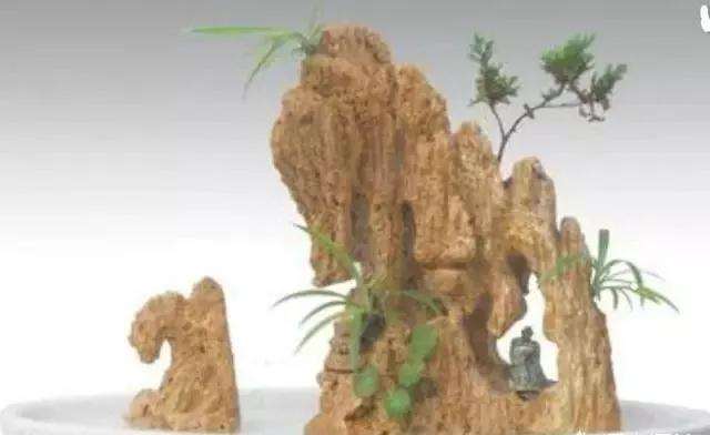 吸水石盆景怎样制作的方法 图片