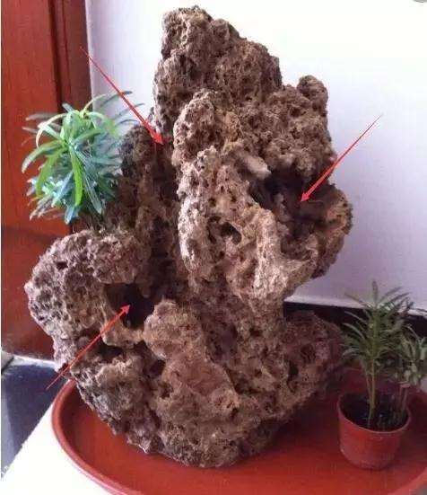 吸水石盆景怎样制作的方法