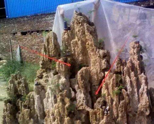 吸水石盆景怎样制作的方法