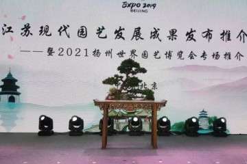 瘦西湖扬派盆景惊艳亮相2019北京世园会